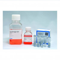 CellArtis Y00305 Human iPS cel