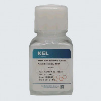 MEM Non-Essential Amino Acids