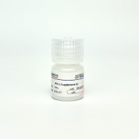 干细胞培养添加剂02  /  MSCs Supplement