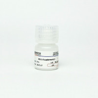 干细胞培养添加剂01  /  MSCs Supplement