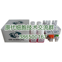小鼠神经星形胶质细胞试剂盒