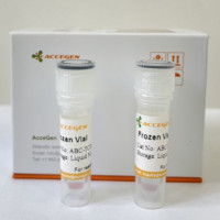 AcceGen NCI-H460细胞