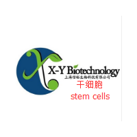 较大标本保存