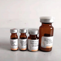 重组蛋白M-CSF，Mouse，AF