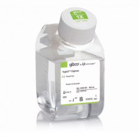 TrypLE™ Express 酶 (1X)，无酚红