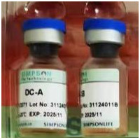DC 细胞试剂盒