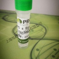 ​HEPES粉剂(1mol/L,Free Acid)