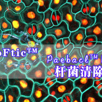 Paebacl™Rid（杆菌去除剂）