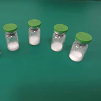 鼠抗肺炎支原体配对单克隆抗体b  鼠抗肺炎支原体配对抗体b