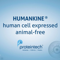 HumanKine® 重组人源IL-5活性蛋白