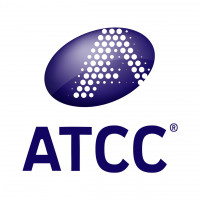 ATCC官方CESS HUMAN LYMPHOBLAST(试