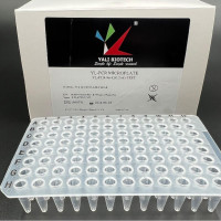 PCR-96-C 0.2ml 96孔PCR板 无裙边，透明（
