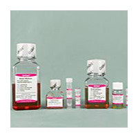 OriCell® 大鼠脂肪间充质干细胞成脂诱导分化试剂盒