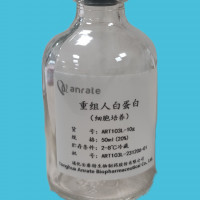 重组白蛋白