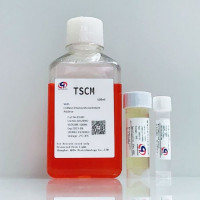 TSCM肿瘤干细胞成球培养基-无血清 (TSCM - Ser