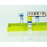 DH5a感受态