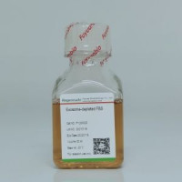 无外泌体血清，Exosome-Free FBS，去外泌体胎牛