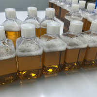 诊断试剂新生牛血清