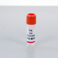 NK细胞