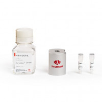 人CD16+细胞分离试剂盒（正）