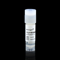 FSHR Reporter Bioassay