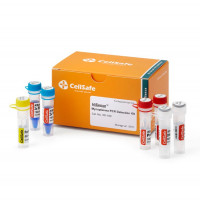 HiSense®  Mycoplasma PCR Detec