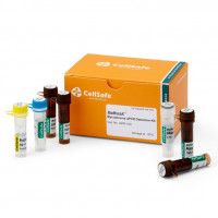 BioMycoX® Mycoplasma qPCR Dete