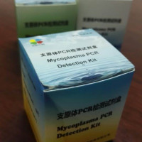 支原体PCR检测试剂盒