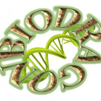博奥龙Biodragon货号BDXB0112支原体清除试剂盒