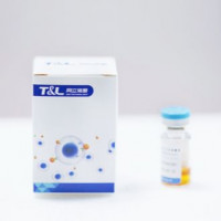 MaxSortin®CD4分选磁珠