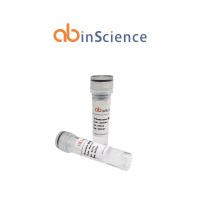 Recombinant Mouse CD80 Protein