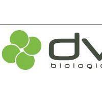 Synovial Tissue cDNA（滑膜组织cDNA）