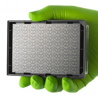 类器官芯片 OrganoPlate® Graft