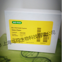 标准马血清促销