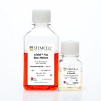 mTeSR™ Plus，cGMP级别，换液灵活的hPSC维持
