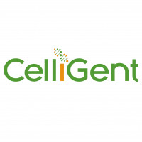 CELLiGENT 293细胞无血清悬浮培养基CG1030