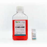 贝索细胞/CSTI  |  无血清细胞培养液 CiMS-BM