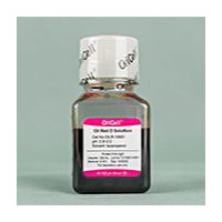 OriCell® 茜素红染色液 （Alizarin Red
