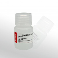 CellWorld  DNA稀释液(用于荧光定量) C250