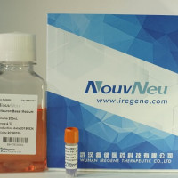 NouvNeu™ hNeuron 神经元定向分化细胞培养试剂
