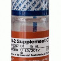 CTS™ (Cell Therapy Systems) N-