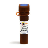 Senescence-Tracker™衰老细胞近红外荧光探针