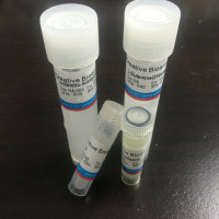 QualiCell® Rat Endothelial (Tr