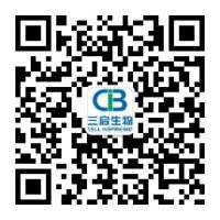iPS来源的人神经元细胞