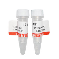 多聚L-赖氨酸(分子量15万～30万)试剂盒