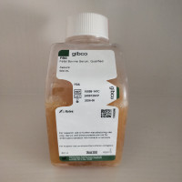 Gibco澳洲胎牛血清10099-141C