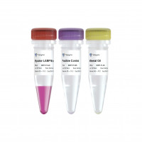 Mycolor One-Step Mycoplasma De
