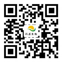 (Human DiI-LDL) 红色荧光标记人源低密度脂蛋白