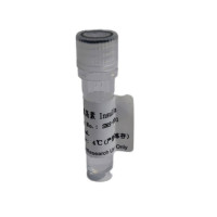 重组人胰岛素Insulin