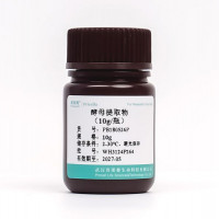 酵母提取物